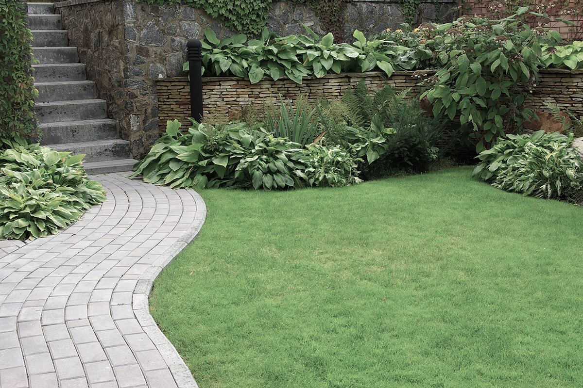 Welcome to Stafford Landscaping